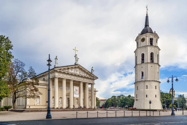 Cattedrale Basilica San Stanislao San Ladislao Vilnius Lituania — Foto Stock