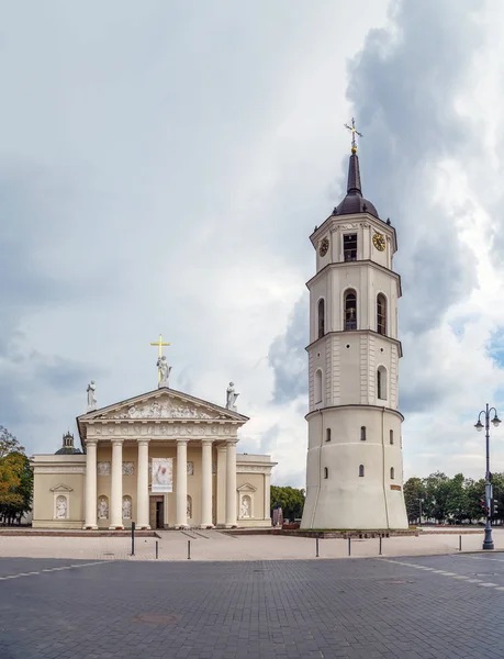 Cattedrale Basilica San Stanislao San Ladislao Vilnius Lituania — Foto Stock
