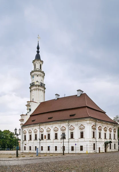 Câmara Municipal Kaunas Fica Meio Praça Câmara Municipal Coração Cidade — Fotografia de Stock