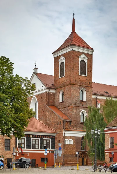 Kathedraal Basiliek Van Apostelen Peter Paul Van Kaunas Een Rooms — Stockfoto