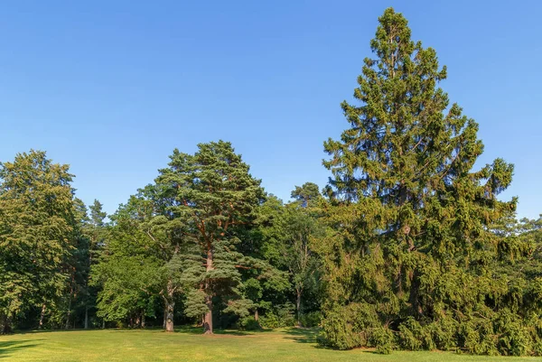 Palanga Botanický Park Chráněná Krajinná Oblast Litvě Pobřežní Oblasti — Stock fotografie