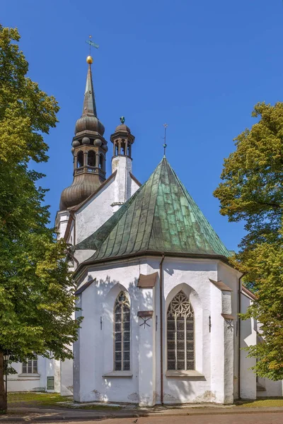 Catedral Santa María Una Iglesia Catedral Ubicada Colina Toompea Tallin —  Fotos de Stock