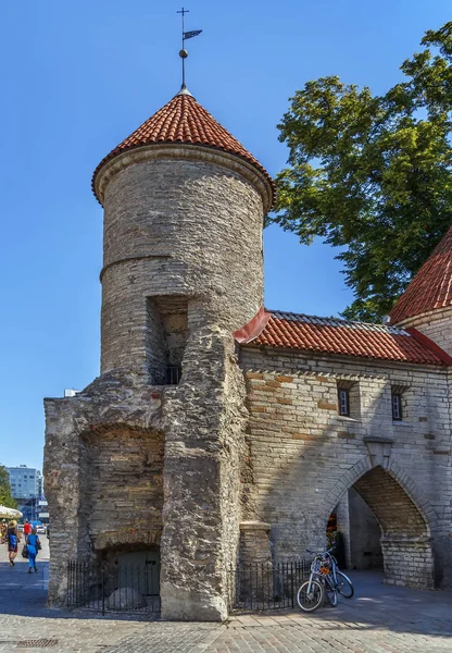 Barbican Viru Gate Part Defence System Tallinn City Wall Built — Stock Photo, Image
