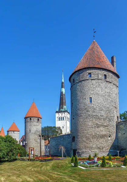 Widok Ściany Tallin Olaf Kościoła Estonia — Zdjęcie stockowe