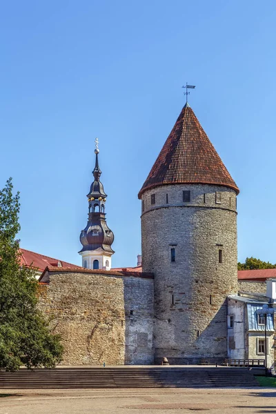 Ściany z Tallinn, Estonia — Zdjęcie stockowe