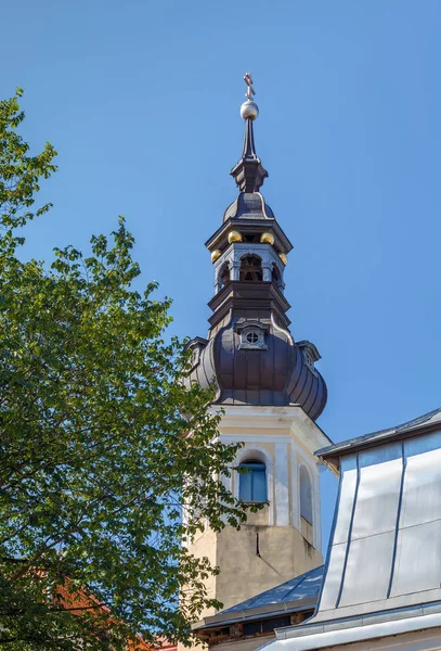 Eglise de la Transfiguration de Notre Seigneur, Tallinn, Estonie — Photo