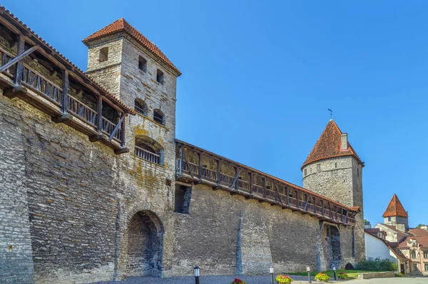 Muren van Tallinn, Estland — Stockfoto