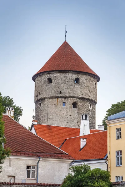 Kiek in de Kok, Tallinn, Estonia — Stock Photo, Image