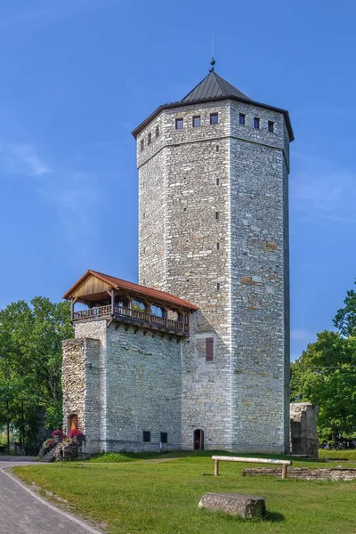 Hrad Paide, Estonsko — Stock fotografie