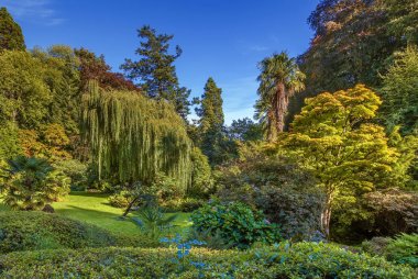 Powerscourt park, İrlanda