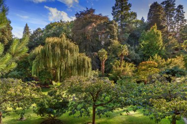 Powerscourt park, İrlanda