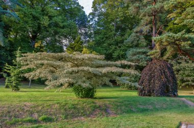 Powerscourt park, İrlanda