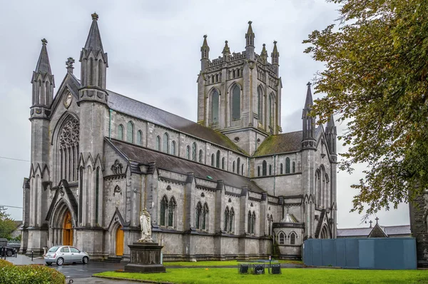 Catedral de Santa María, Kilkenny, Irlanda —  Fotos de Stock