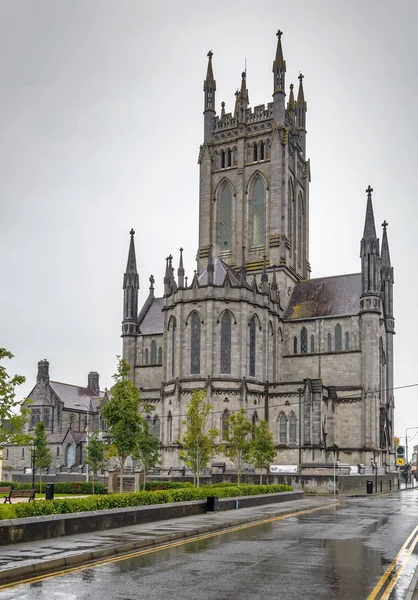 St Mary Cathedral, Kilkenny, Ierland — Stockfoto