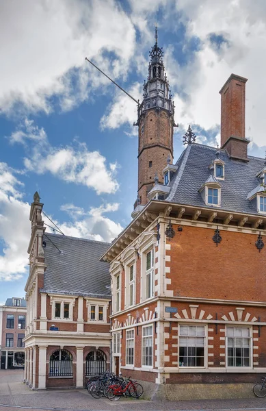 Haarlem stadhuis, Netherlans — Stockfoto