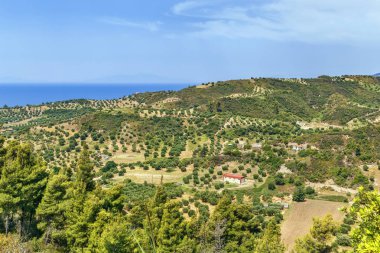 Kassandra yarımadasında llandscape, Chalkidiki, Yunanistan