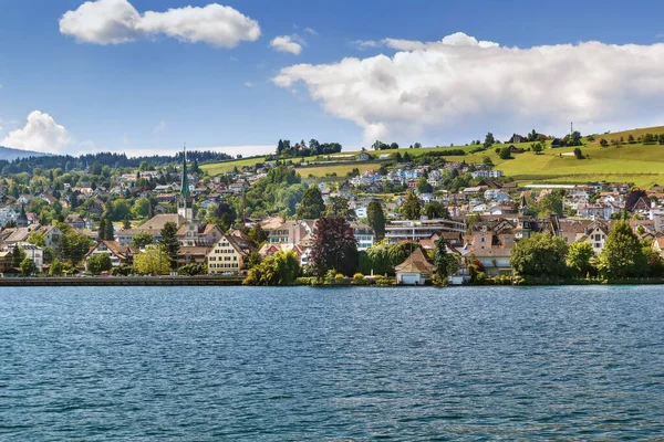 Widok Jezioro Wadenswil Szwajcaria — Zdjęcie stockowe