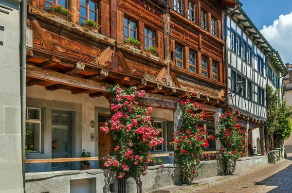 Strada Nel Centro Storico Rapperswil Con Rose Svizzera — Foto Stock