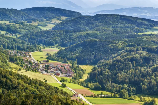 Widok Okolicę Góry Uetliberg Zurych Szwajcaria — Zdjęcie stockowe