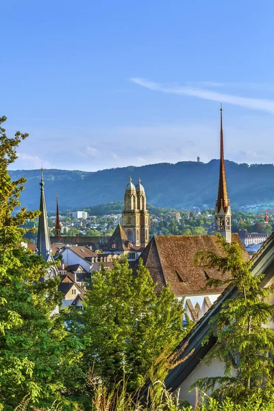 瑞士苏黎世市中心的大学山景观 — 图库照片