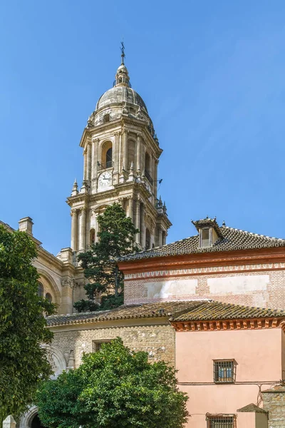 Malaga Katedrali Endülüs Güneyindeki Malaga Şehrinde 1528 1782 Yılları Arasında — Stok fotoğraf