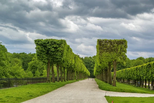 Alley Augustusburg Slottspark Bruhl Tyskland — Stockfoto