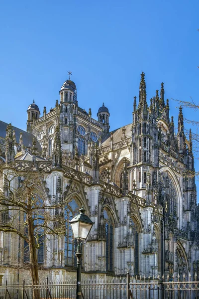 Catedral Católica Romana Iglesia San Juan Hertogenbosch Altura Arquitectura Gótica —  Fotos de Stock