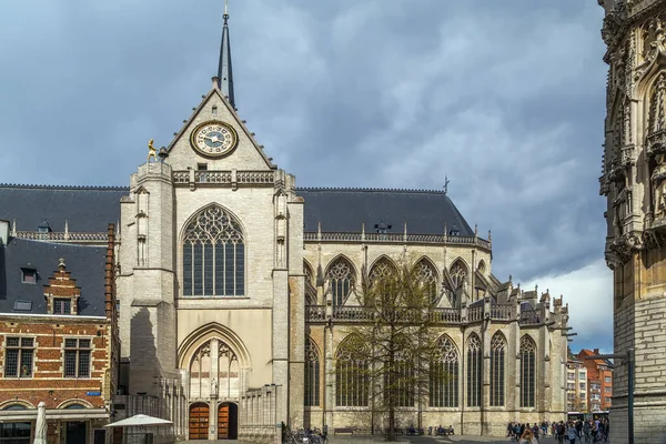 Saint Peter Church Leuven Belgium Situated Main Market Square — Stock Photo, Image