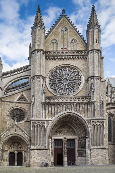 Martin Katedrali Belçika Nın Ypres Şehrinde Eski Bir Katedraldir Geçit — Stok fotoğraf
