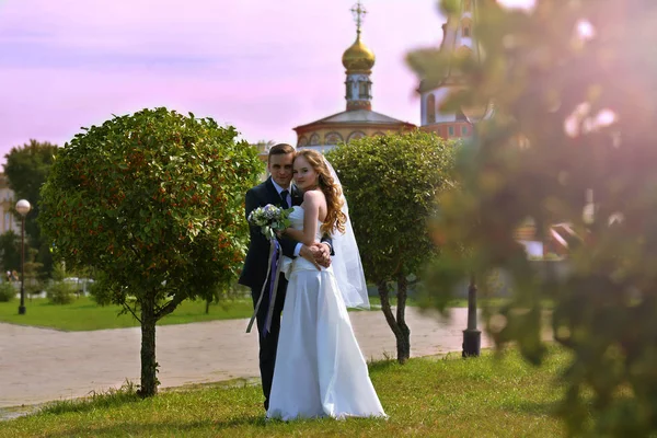 Esküvői Fotózás Menyasszony Vőlegény Természetben Búza Mezőben Fiatal Pár Park — Stock Fotó