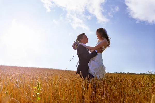 Esküvői Fotózás Menyasszony Vőlegény Természetben Búza Mező — Stock Fotó