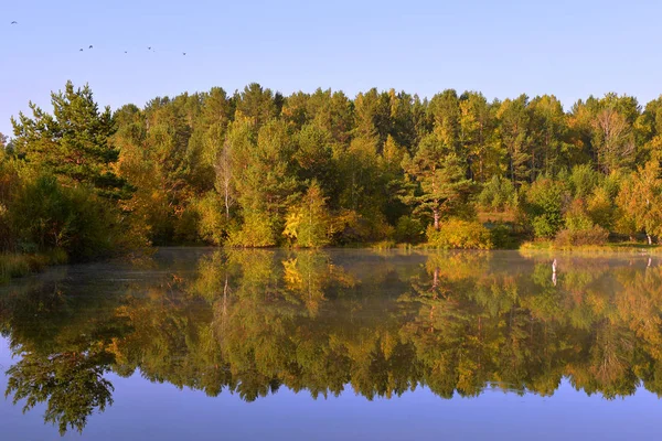 Jesienny Krajobraz Nad Jeziorem Odbicie Lesie Wodzie Jesieni Piękny Krajobraz Obrazek Stockowy