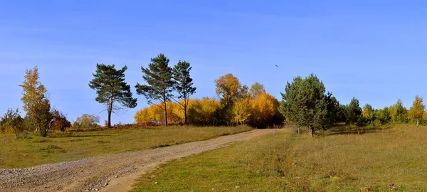 Panorama Natury Jesienią Piękny Krajobraz Jesienny Lasu Wrześniu Zdjęcia Stockowe bez tantiem