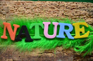 Doğa kavramı soyut renkli arkaplan