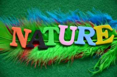 Word doğa üzerinde bir Özet