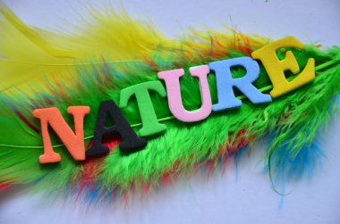 Word doğa renkli bir arka plan üzerinde