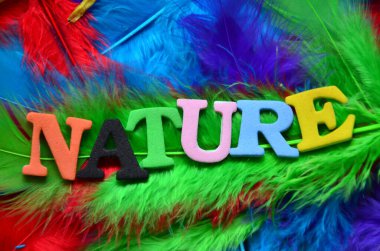 Renkli tüylerden yapılmış bir kelimenin tasviri