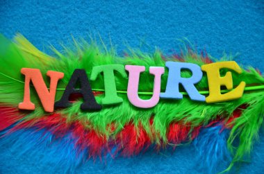 Renkli harflerden yapılmış doğal bir kelime.