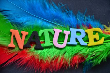 Koyu bir arka planda doğa ve soyut renkli tüyler.