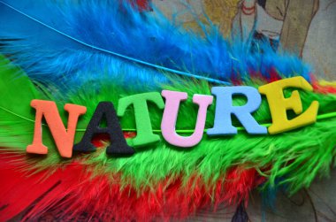 Kelime yazma kuşu. Hayvandan ya da hayvandan daha fazla var olan hayvan için iş konsepti