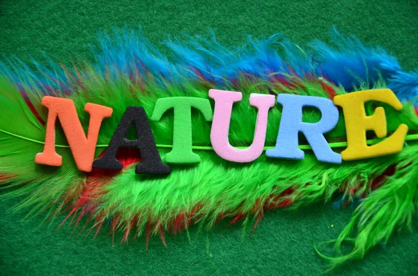 Word doğa üzerinde bir Özet