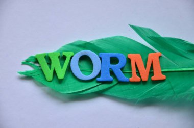 Yeşil yaprak arka planında solucan kelimesi