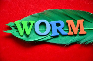 Soyut bir arkaplanda kelime solucanı