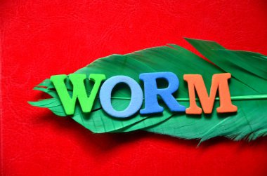 renkli bir arka plan üzerinde kelime aşk