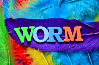 soyut gökkuşağı arkaplanı kelimesi