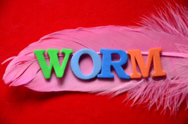 Kırmızı arkaplanda renkli tüylerle yapılmış kelime