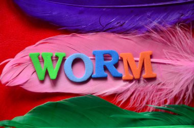 Soyut bir arkaplanda kelime solucanı