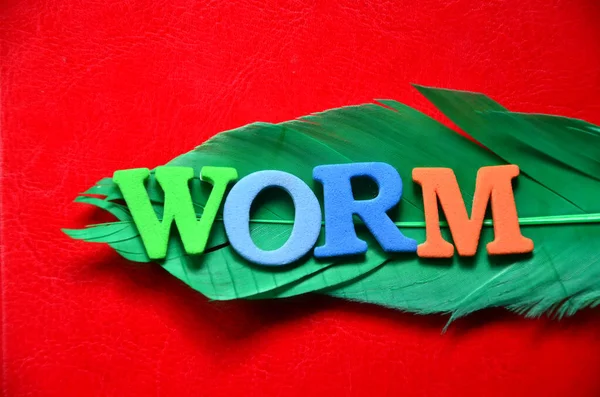 renkli bir arka plan üzerinde kelime aşk