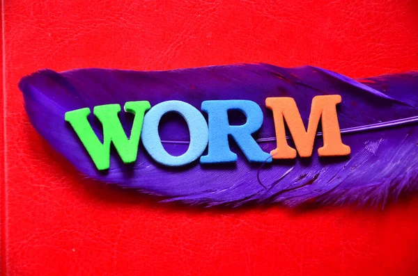 Soyut renkli arkaplanda solucan kelimesi.