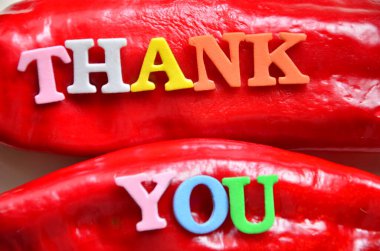 BÜYÜK BÖLGESİNDE TEŞEKKÜRLER